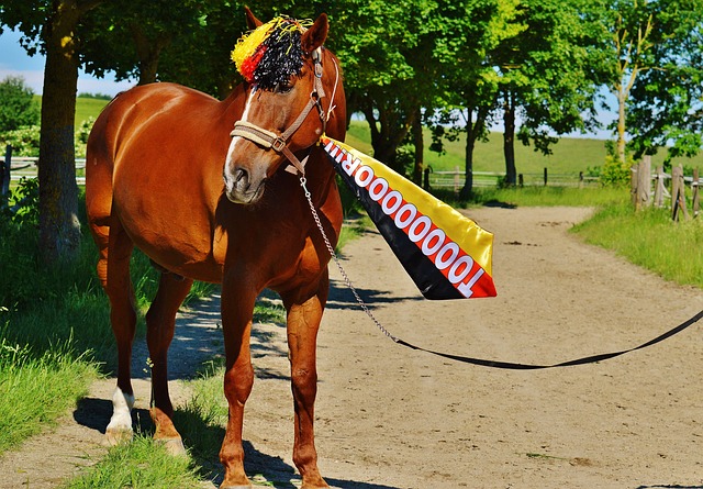 职业规划以 职业规划以