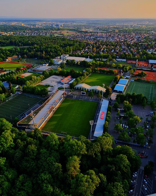 两人都拥有 两人都拥有