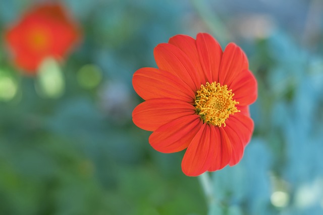 力动态的敏 力动态的敏