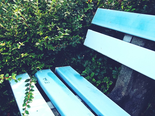 赛环境中 赛环境中